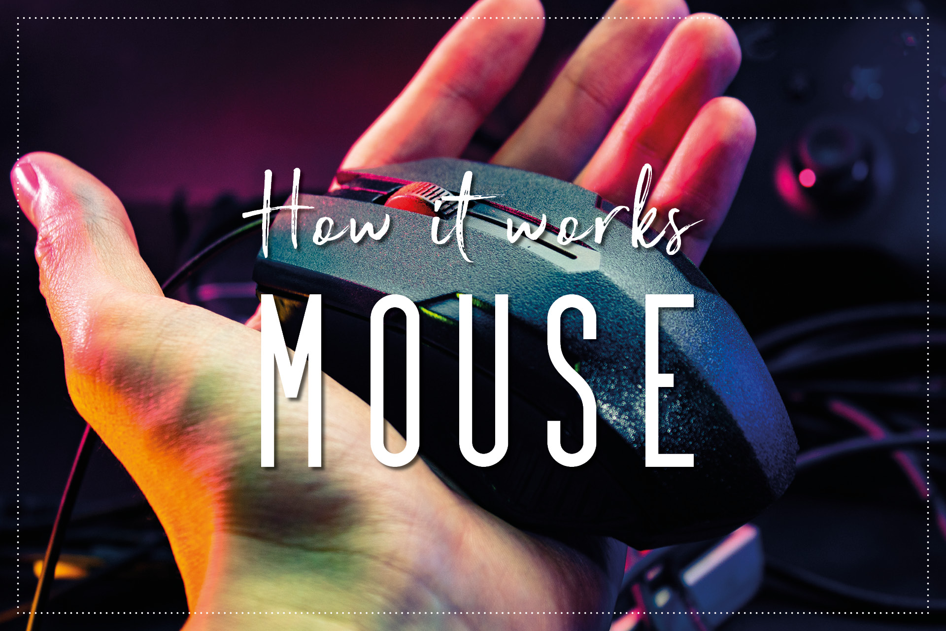 How Mouse Works: The Sneaky Secrets of Mousey Magic